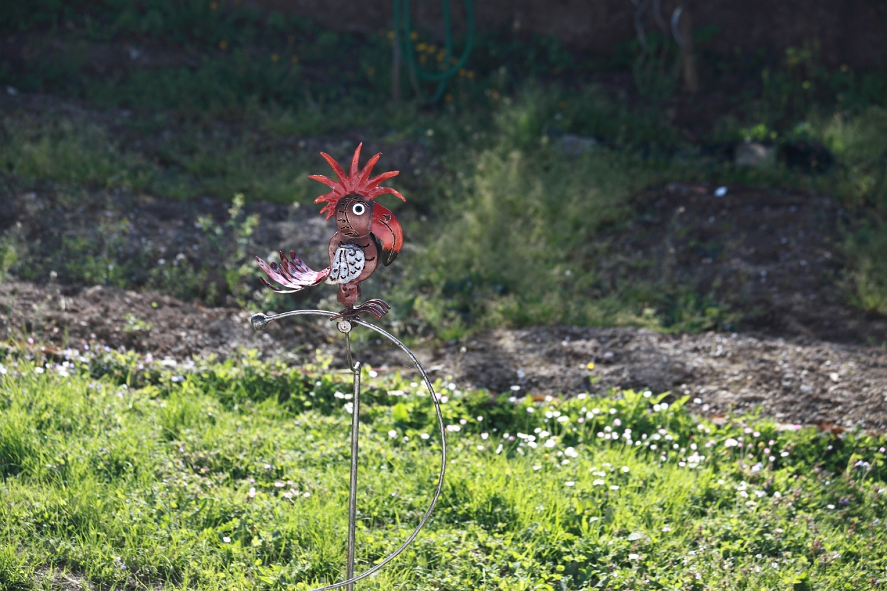 EOS 5D Mark II12_04_20148006.JPG